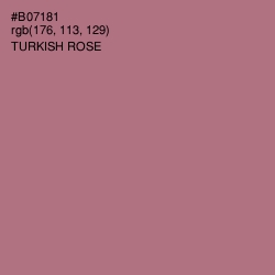 #B07181 - Turkish Rose Color Image